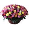 Корзина роз «Праздничный фейерверк»  