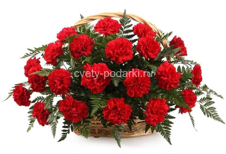 Корзина с гвоздиками